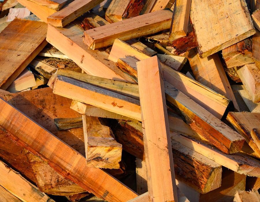Container de tous types de bois